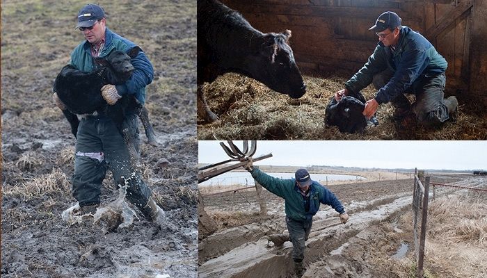 Battling the elements to care for animals
