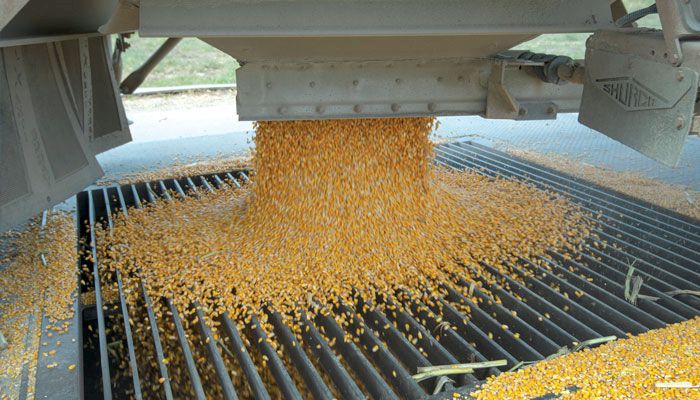China poised to make big corn buys