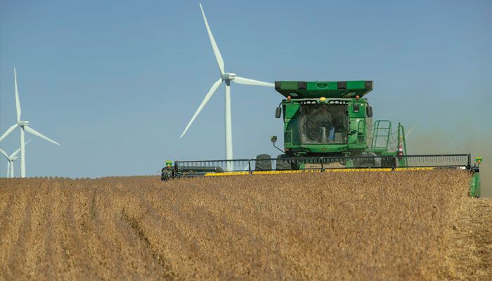 Iowa soybeans