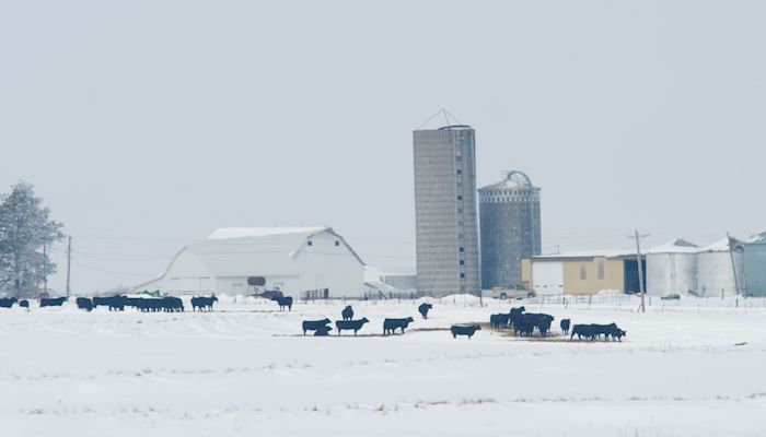 winter farm