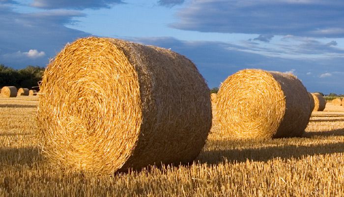 hay rounds