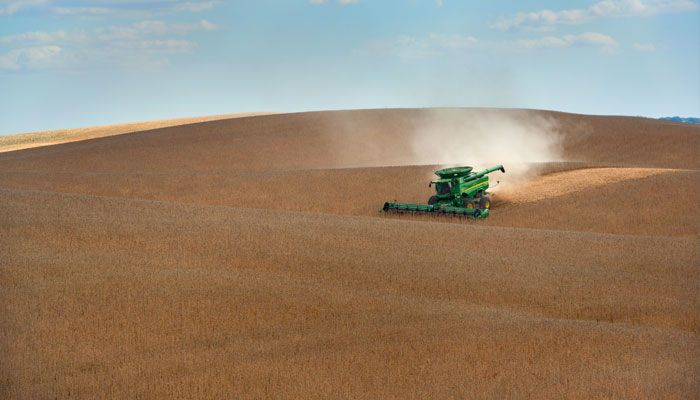 Iowa soybean harvest