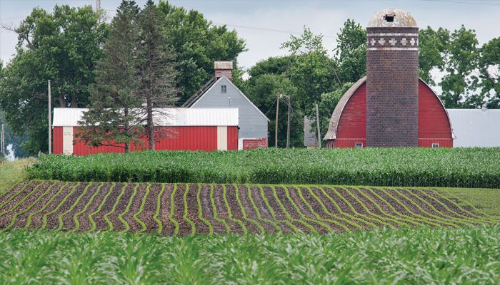 Iowa farm scene