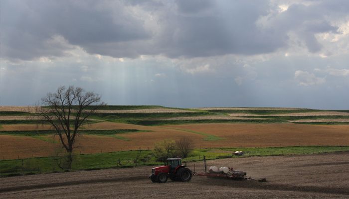 Iowa Farm