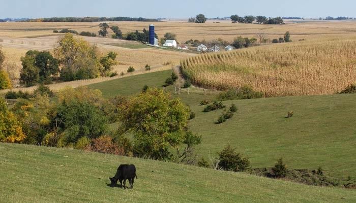 Iowa farm land