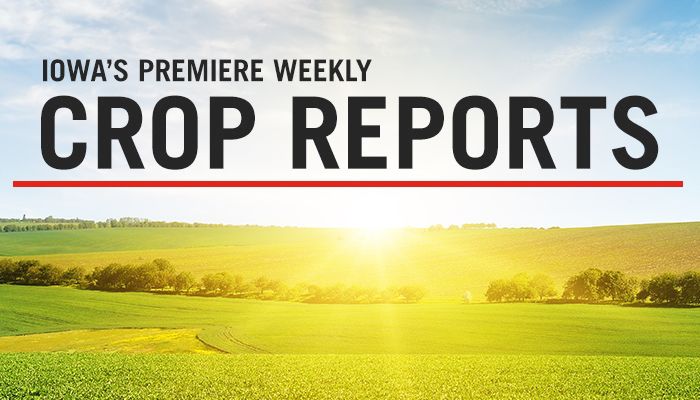 Iowa's Premiere Weekly Crop Reports