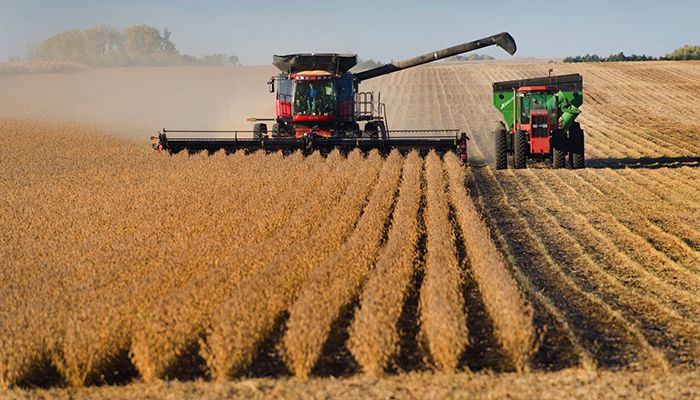 Record ag exports forecast