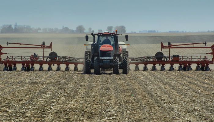 spring planting