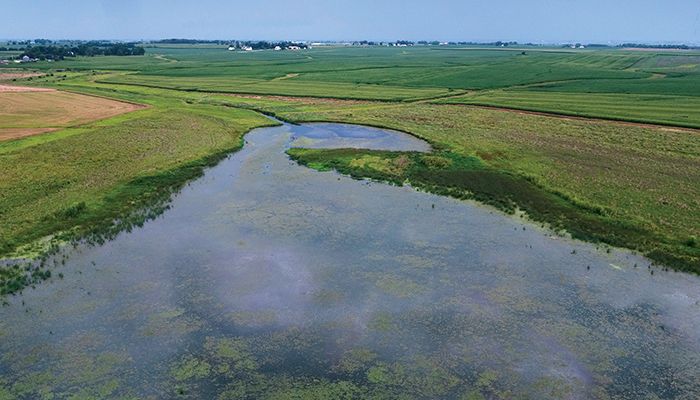 wetland