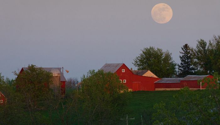 farmstead