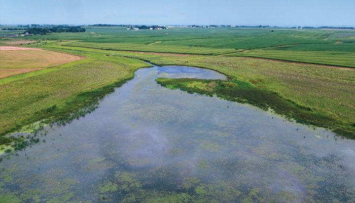 wetlands