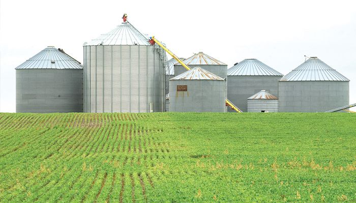 Grain bins