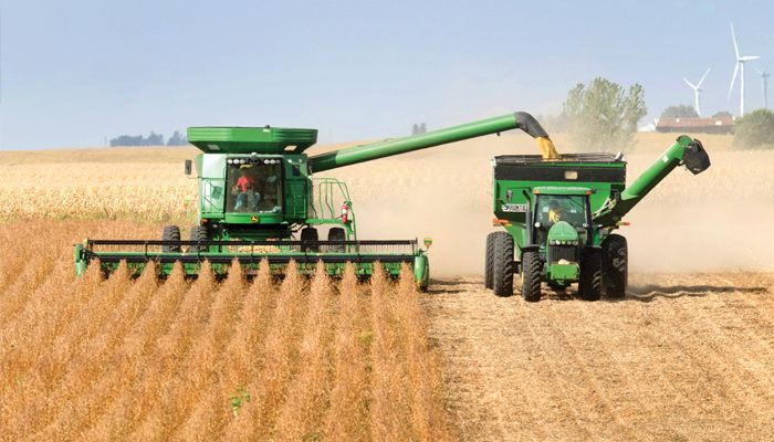 soybean harvest