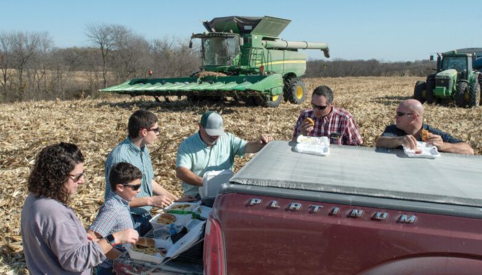 picnic harvest