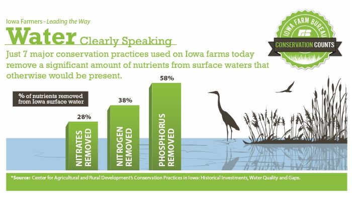 Water, clearly speaking infographic