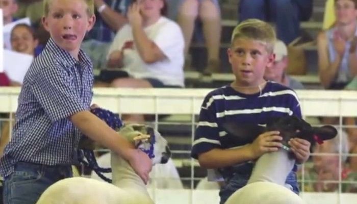 Fun At Iowa's County Fairs