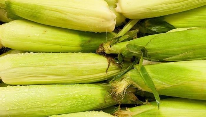 The Great Sweet Corn Debate