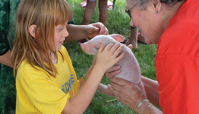 The baby pigs were a popular attraction at the Ag Adventure in Greenfield this summer, hosted in part by the Adair County Farm Bureau. submitted photo