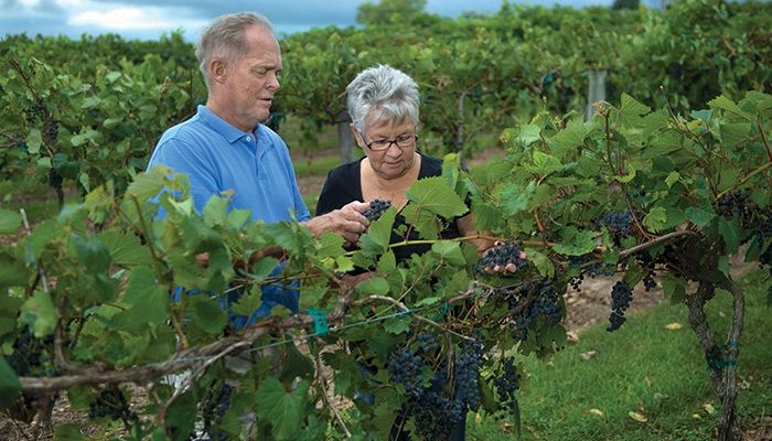 Farm Bureau members Stan and Joanie Olson, owners of Penoach Winery in Adel, check out the grapevines on their farm. Penoach Winery offers special events to celebrate the fall grape harvest.