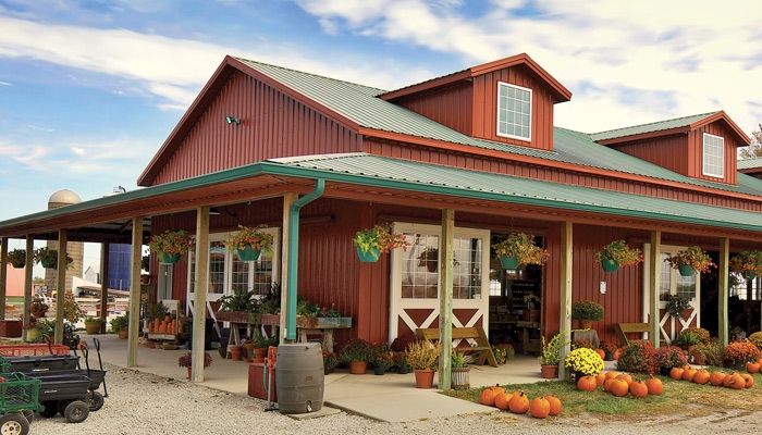 Harvestville Farm near Donnellson sells produce year-round, but the family farm specializes in unique, large pumpkin varieties. submitted photo