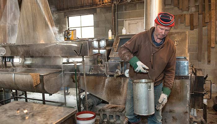 Jim Ludeking, who helps the Green family with the annual maple syrup harvest, hauls syrup in buckets from the evaporator, which boils down and filters the maple sap into syrup. 