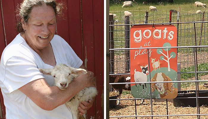 Farm Bureau member Janna Feldman cuddles a newborn lamb she pulled in the early morning.