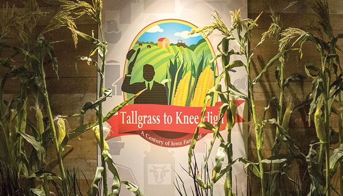 The new "Tallgrass to Knee High" exhibit at the Herbert Hoover Presidential Library and Museum in West Branch examines how farming and agriculture have changed over the last century. 
