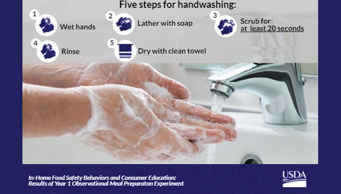 5 steps for handwashing