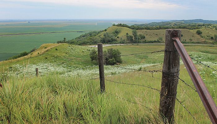 Explore Iowa's Loess Hills to discover a unique landscape that offers remnants of untouched prairie land and wagon-trail dirt roads created by early settlers.