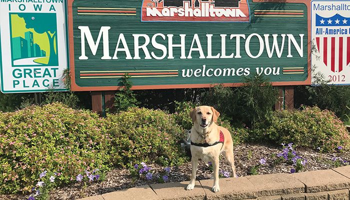 Baylee, a trained canine support dog, helped bring comfort to Marshalltown residents after the devastating tornado last summer.