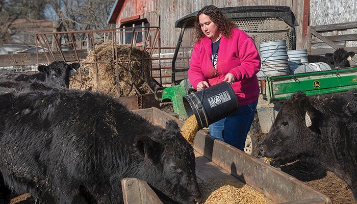 Cattle can eat what we typically view as waste