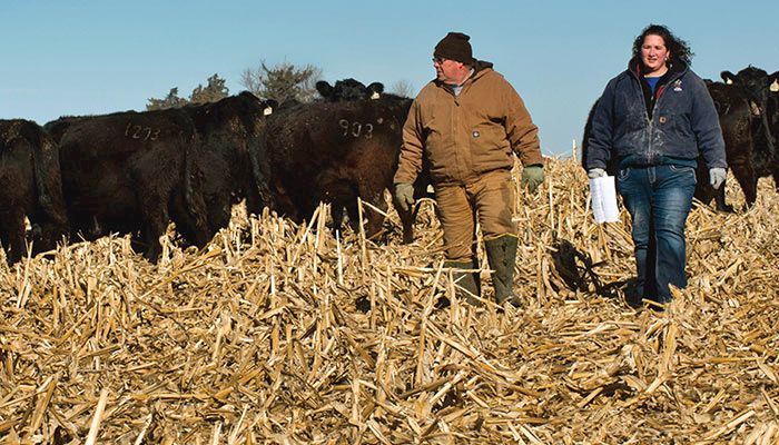 Adair County Farm Bureau member Beth Baudler and her dad, Clifton, check on their cow herd. 