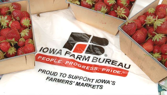 IFB Farmers Market Bags