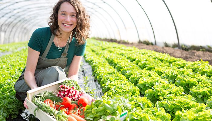 Iowa Farm Bureau hosts niche market webinar on high tunnel and produce production