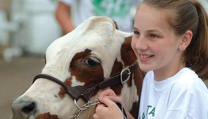 youth with livestock