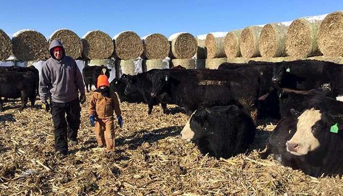 Jon McClure and his son (Herry) of Dallas Center care for their cattle in negative 17-degree weather on January 30, 2019.