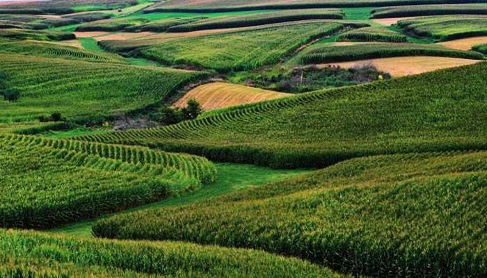 Farmers are doing their part to slow climate change