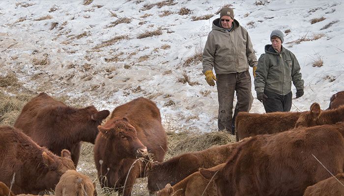 David and Deanna Brennecke and Red Angus 