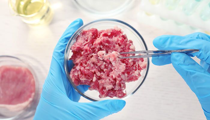 Lab-grown meat