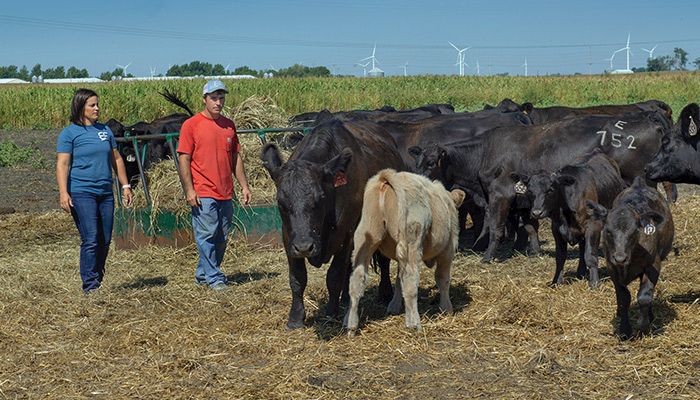 Sustainability on the farm