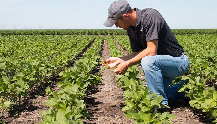 conservation farmer