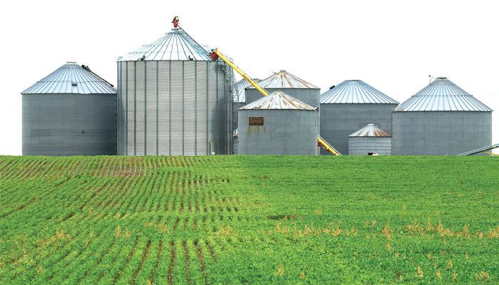 Grain bins