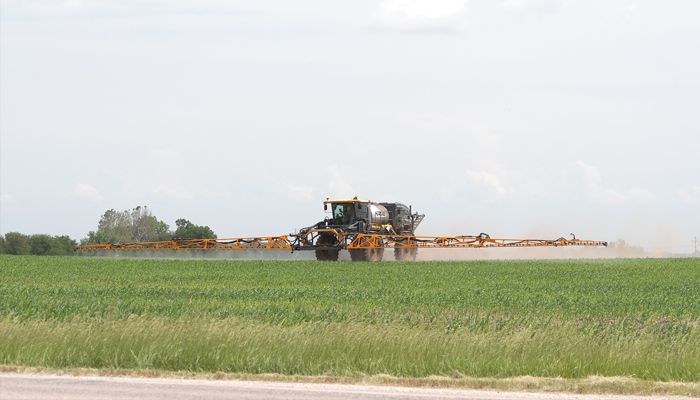 Spraying soybeans