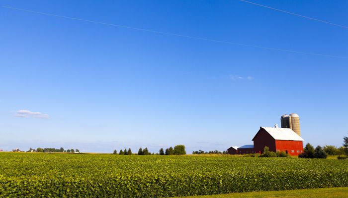 American farmland