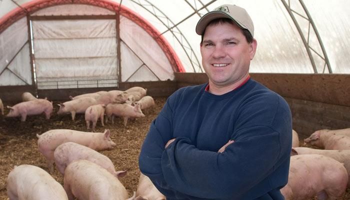 Principles of Biosecurity Apply to Small and Large Swine Operations Alike