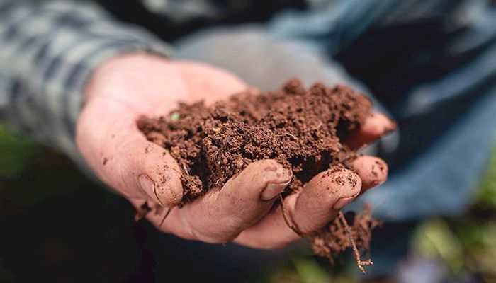 soil health