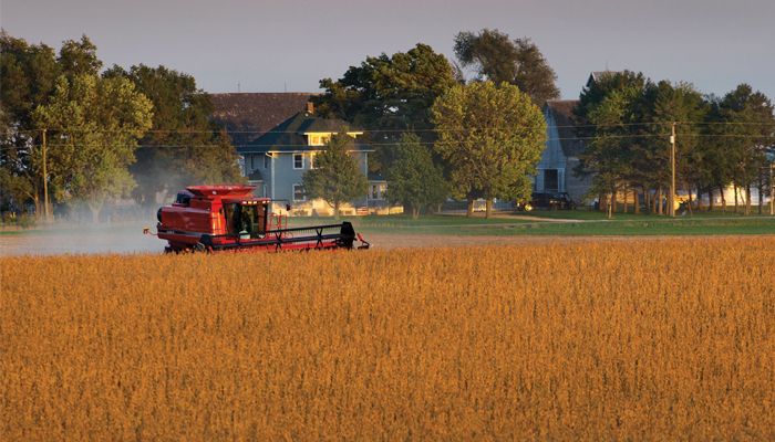 farm scene