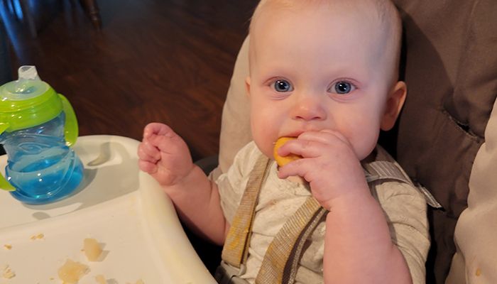 What should you feed your baby?
