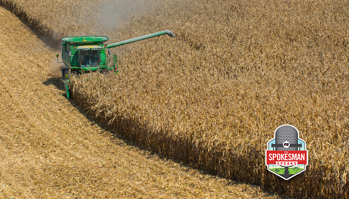 Iowa corn harvest photo