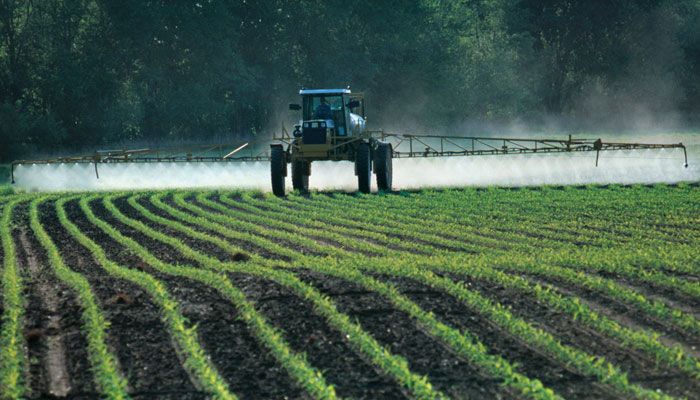 Spraying soybeans